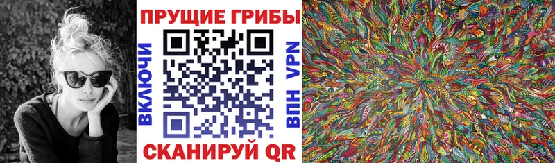Галлюциногенные грибы мицелий  Щигры 